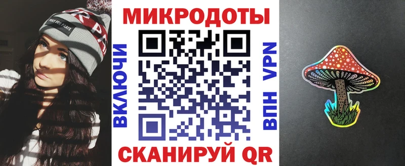 закладки  Лермонтов  Галлюциногенные грибы Psilocybe 